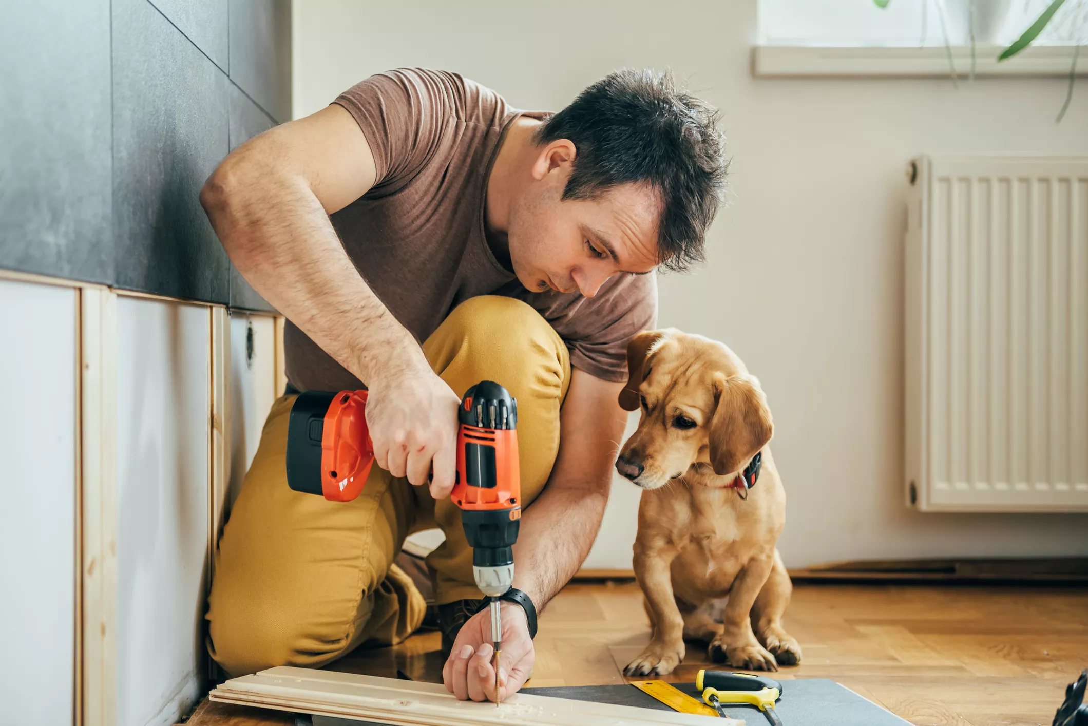 man and his dog working on home improvement project